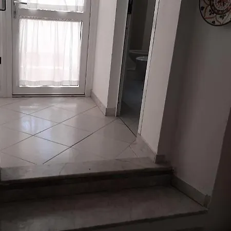 Molto Carino Viareggio